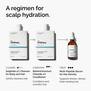 Regimen Infographic Of The Ordinary Behentrimonium Chloride 2% Conditioner